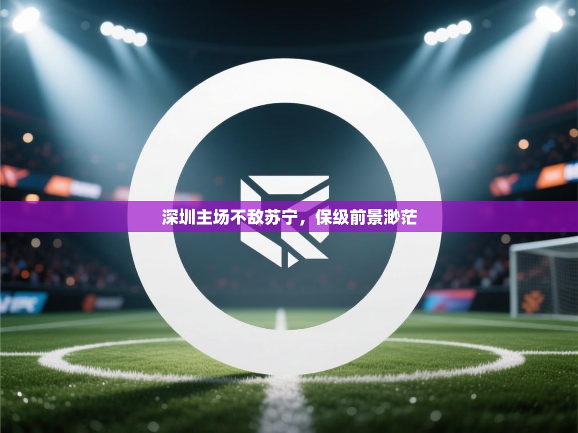 深圳主场不敌苏宁，保级前景渺茫  第1张