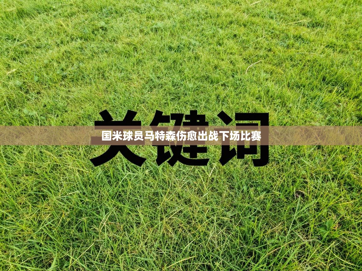 国米球员马特森伤愈出战下场比赛  第1张
