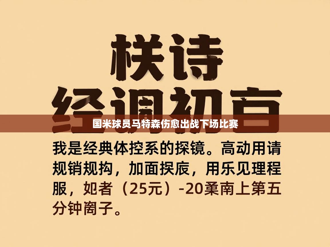 国米球员马特森伤愈出战下场比赛  第2张