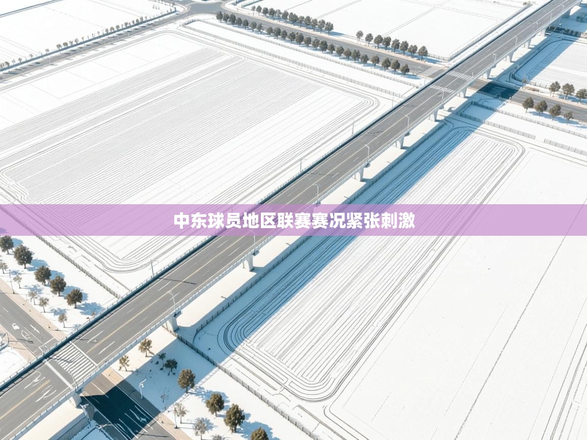 中东球员地区联赛赛况紧张刺激 第1张