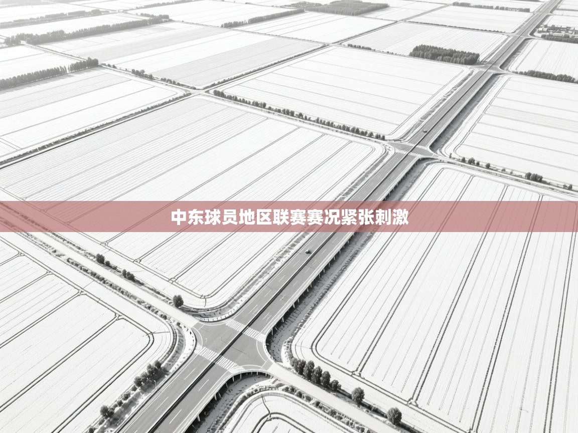 中东球员地区联赛赛况紧张刺激 第2张