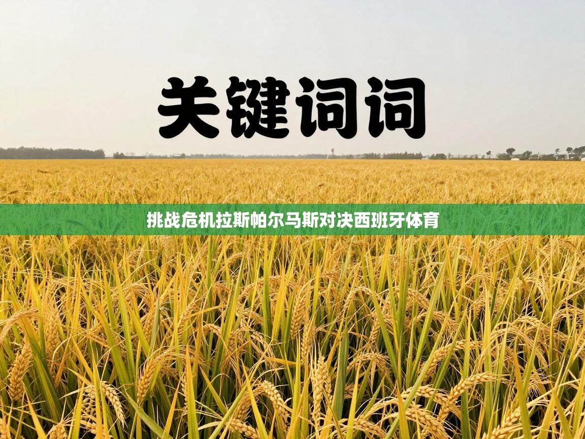 挑战危机拉斯帕尔马斯对决西班牙体育 第1张