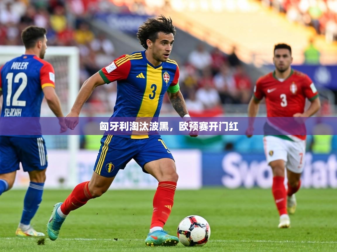 匈牙利淘汰波黑,欧预赛开门红 第2张